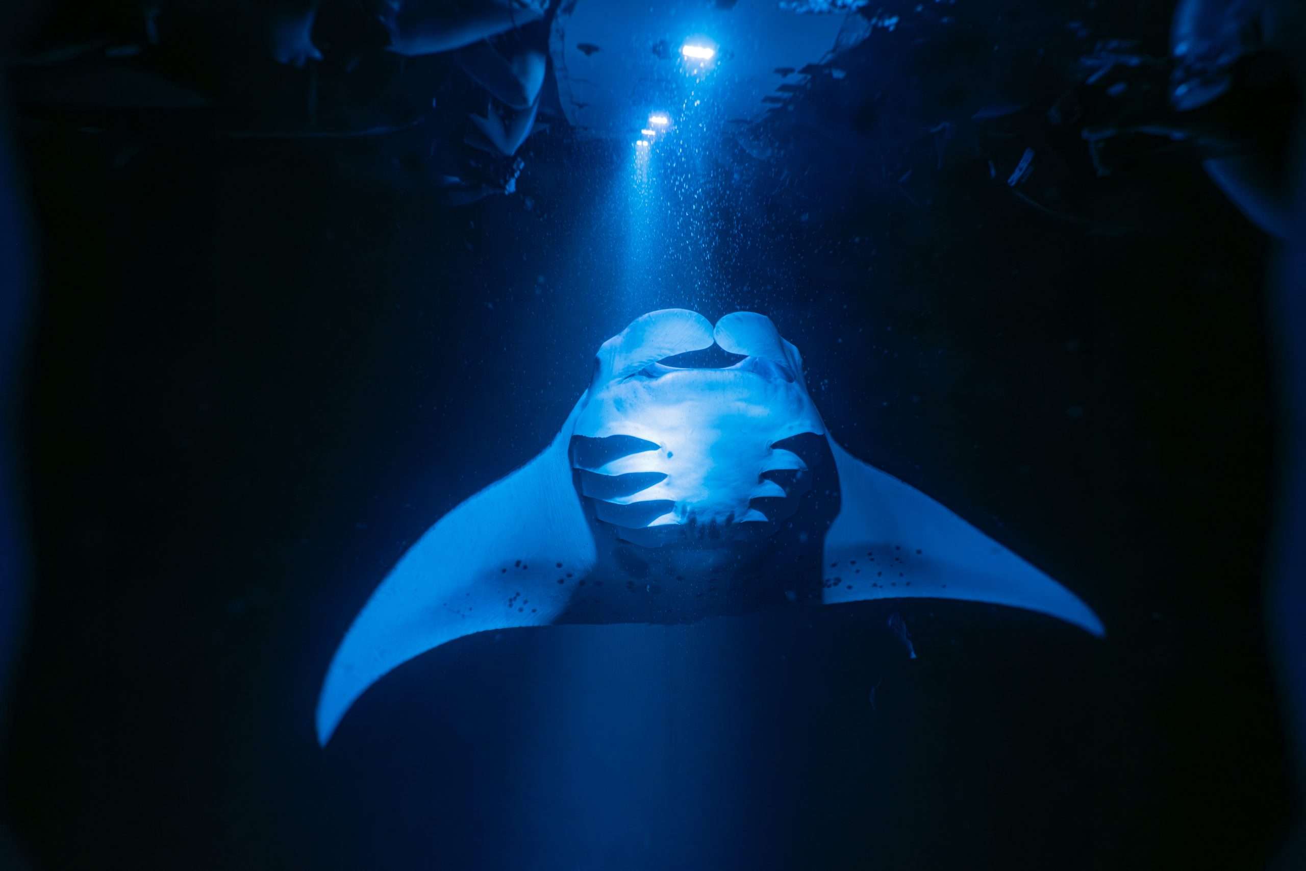 Best activities on the Big Island of Hawaii. 