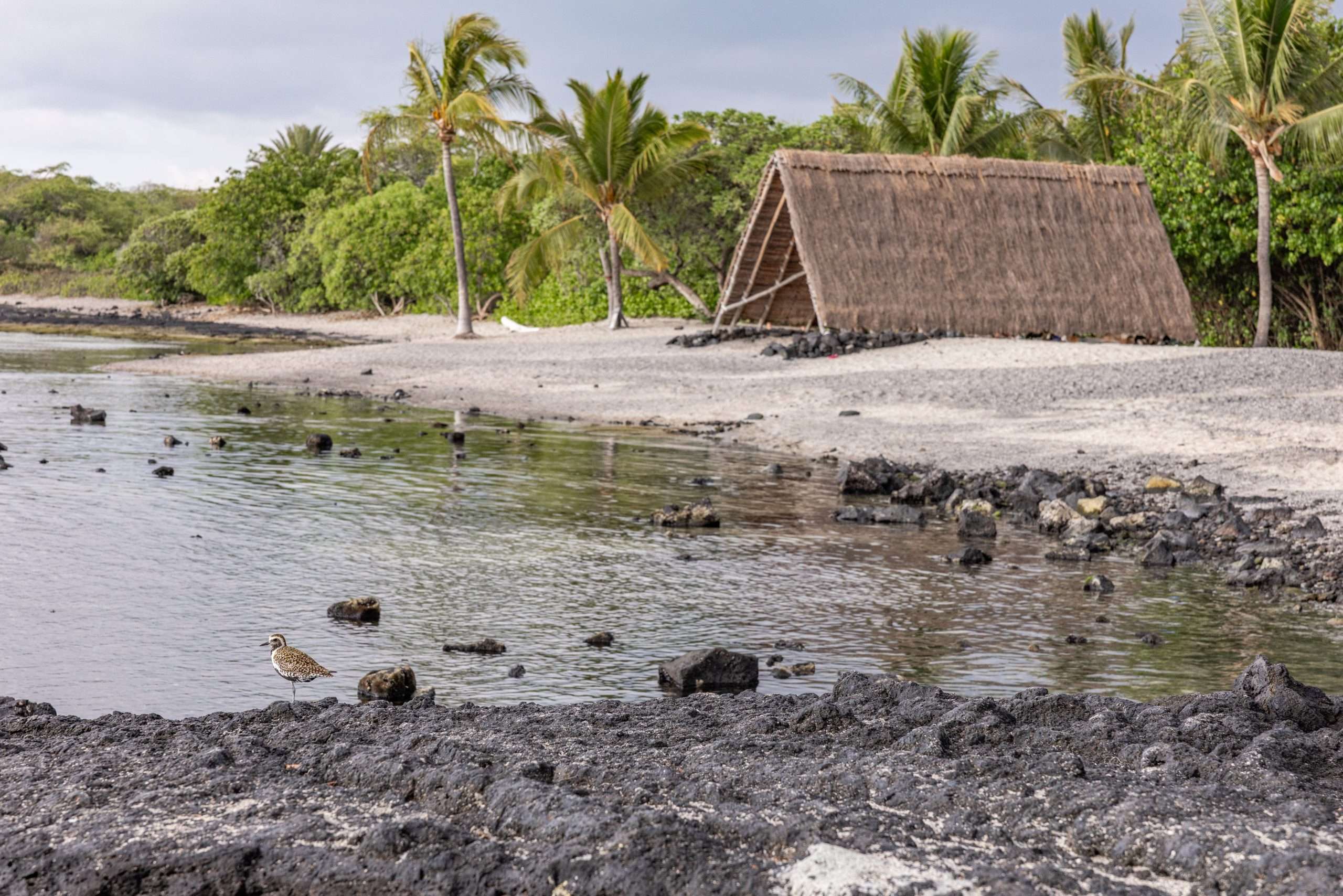 Big Island Family Activities: Top 3 Experiences