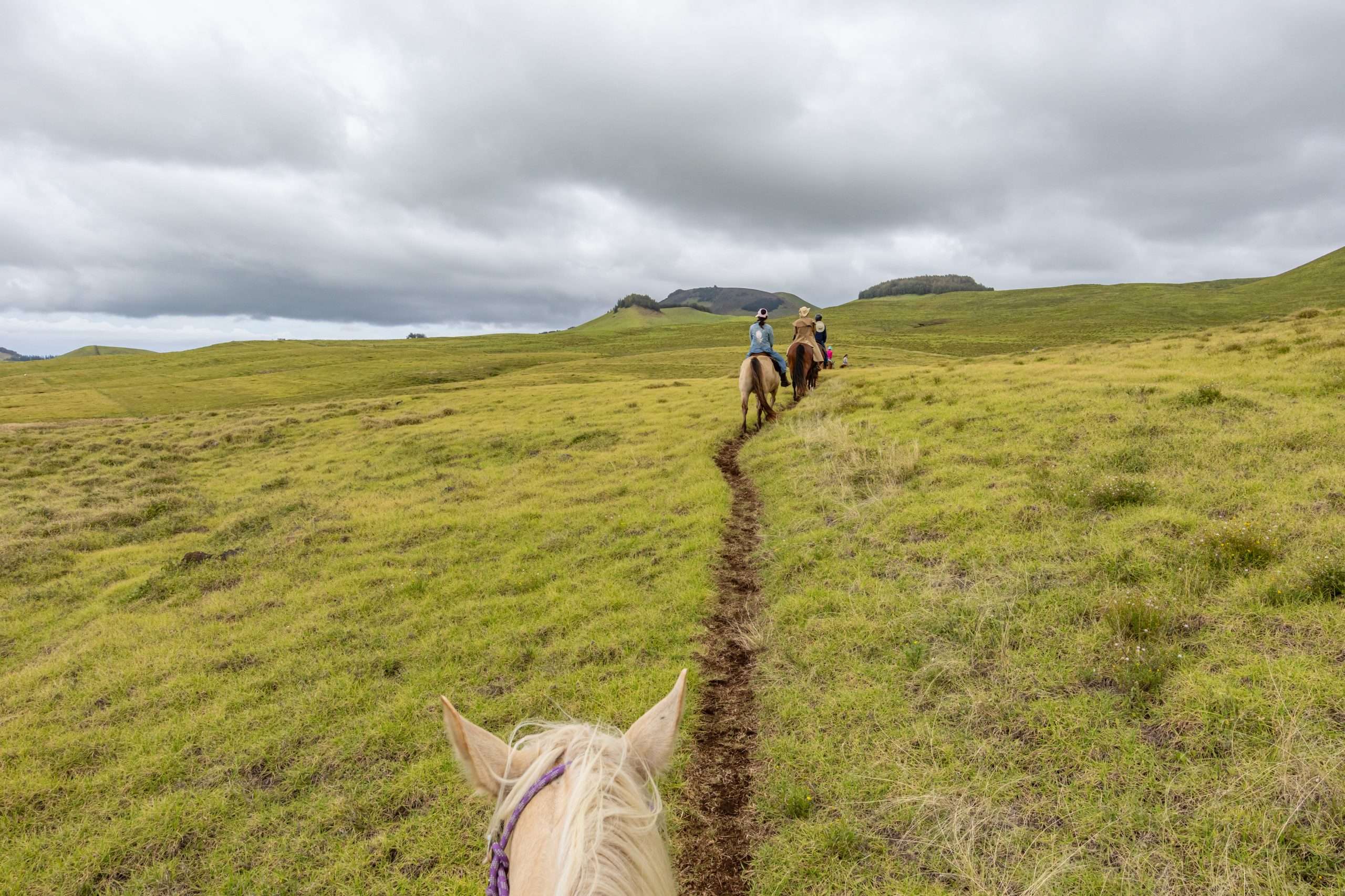Big Island Family Activities: Top 3 Experiences