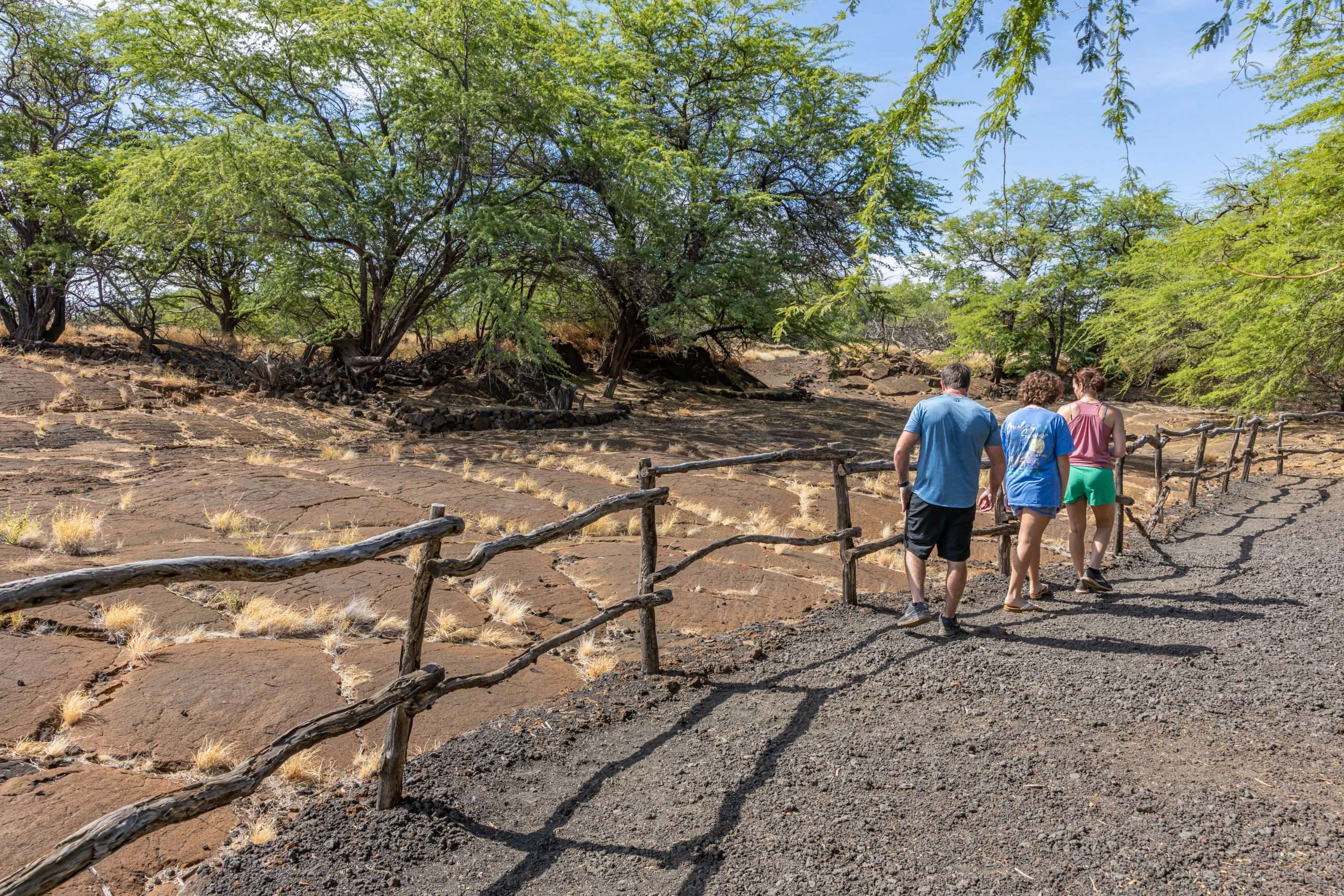 Big Island Family Activities: Top 3 Experiences
