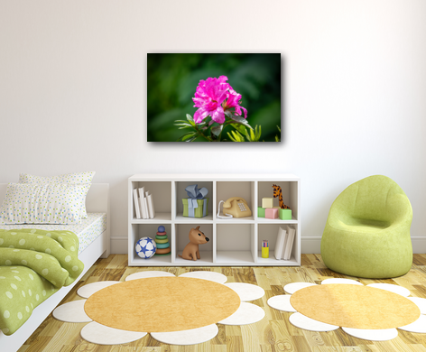 Azalea metal print on display in a child's room.