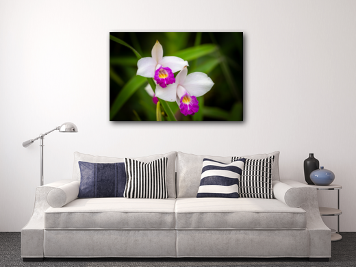 Bamboo orchid metal print on display in a living room.