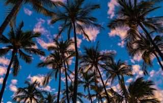 Best Ways To Spend a Day in Kona, Hawaii
