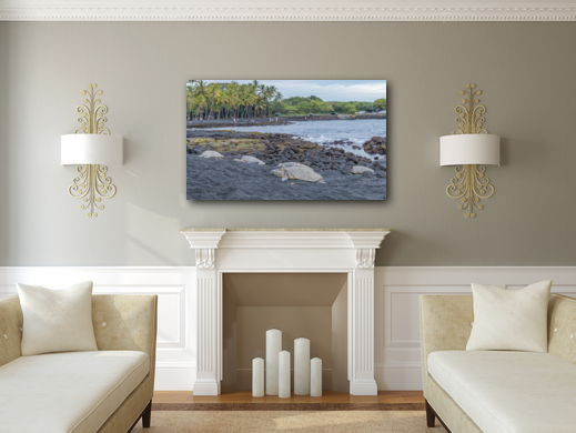 Honu of Hawaii metal print on display in a living room.