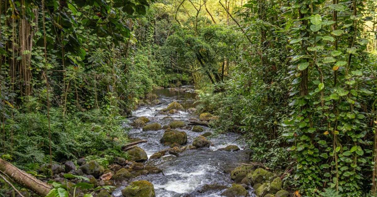 9 Mistakes Tourists Make in Hawaii and How To Avoid Them 