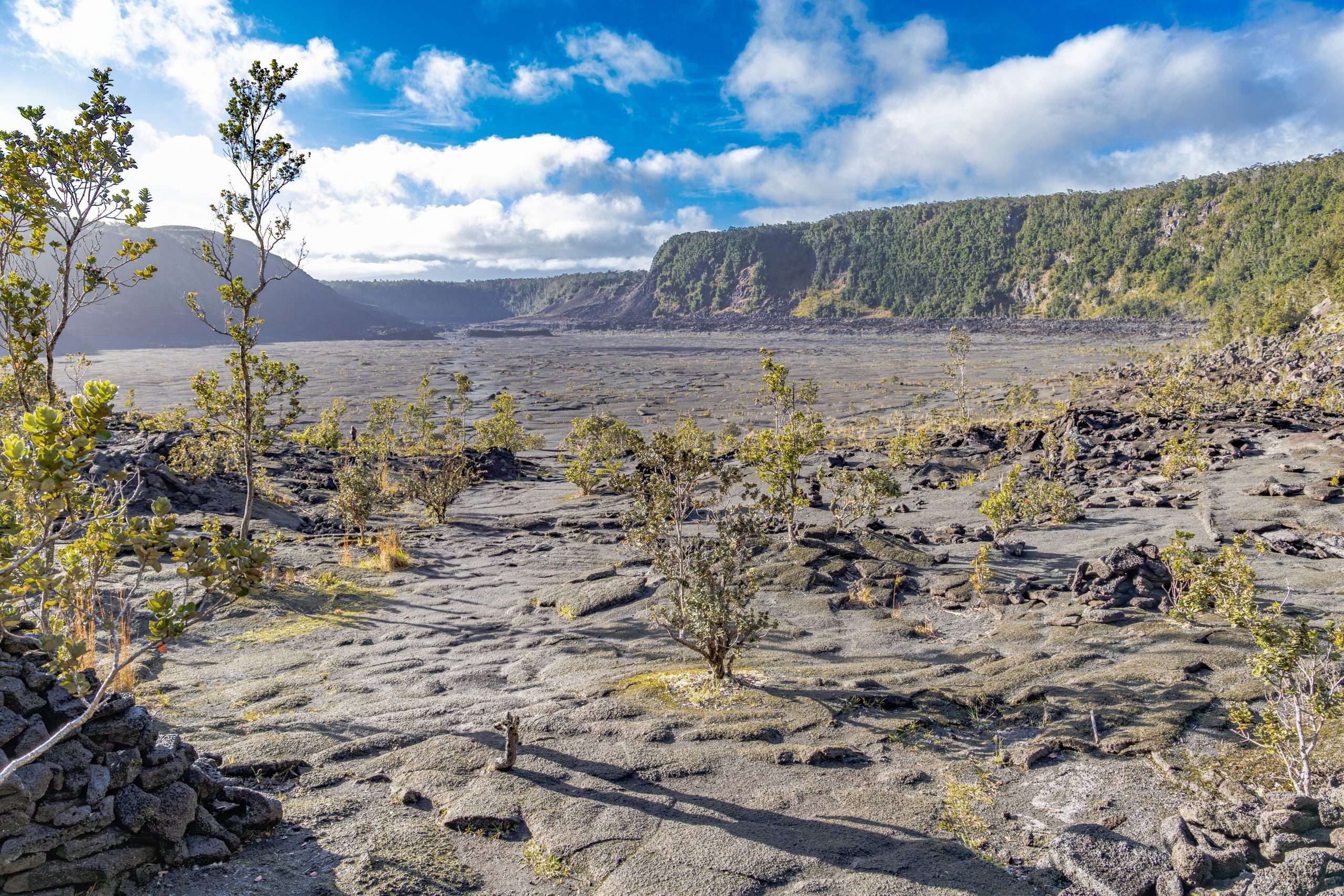 Hiking the Kilauea Iki trail in Hawaii Volcanoes National Park.
