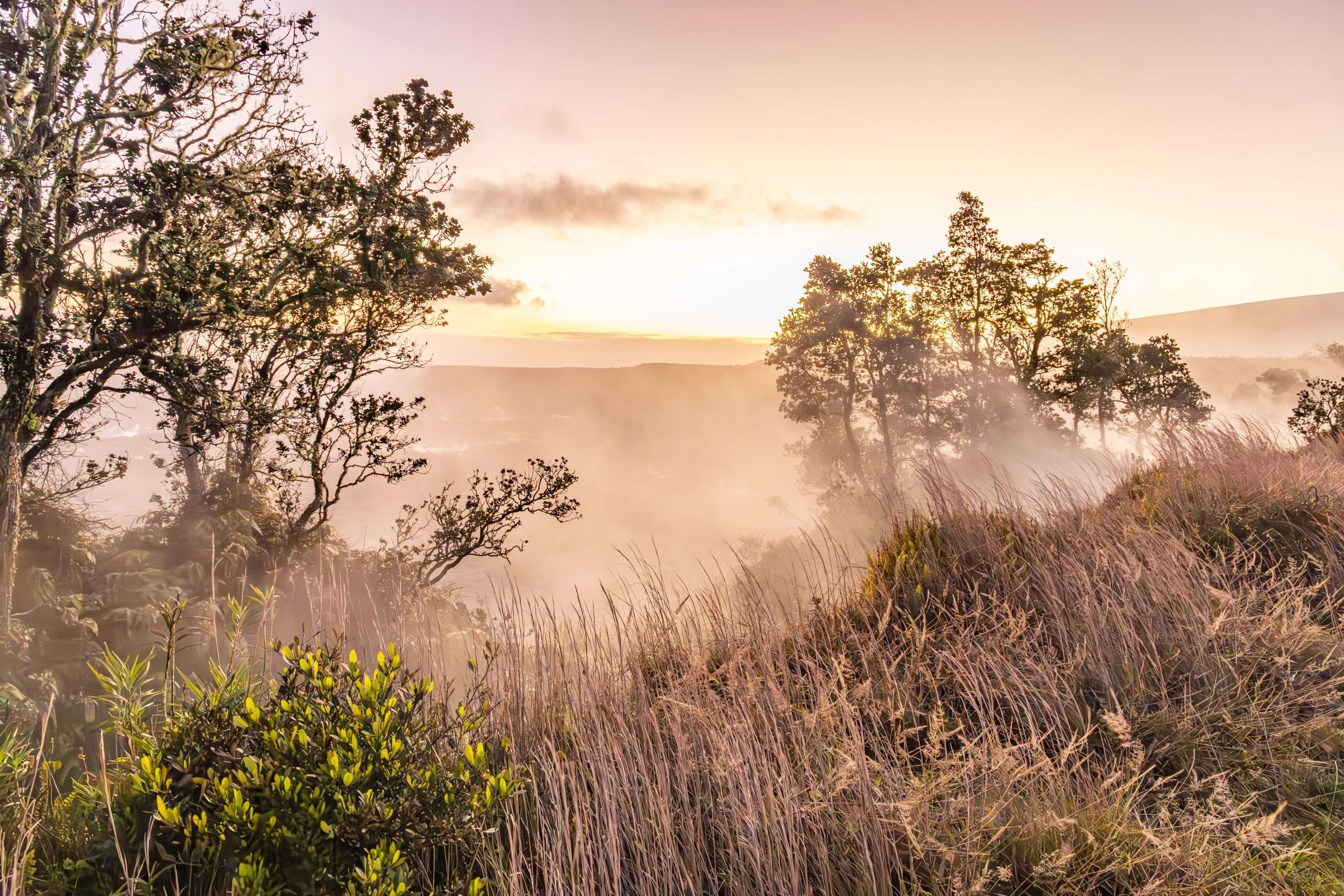 Sunset along the Wahinekapu Steaming Bluffs in Hawaii Volcanoes National Park.