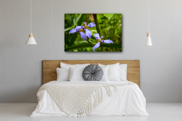 Walking Iris metal print on display in a bedroom.