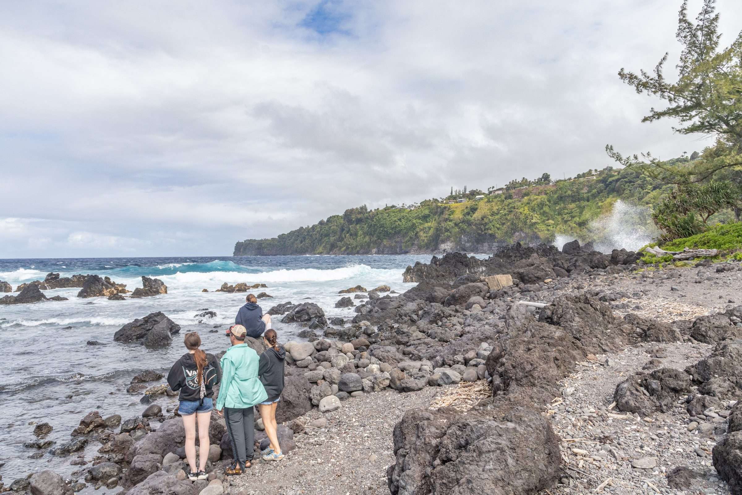 The Big Island is a diverse landscape from lush tropical rainforests to barren lava fields.