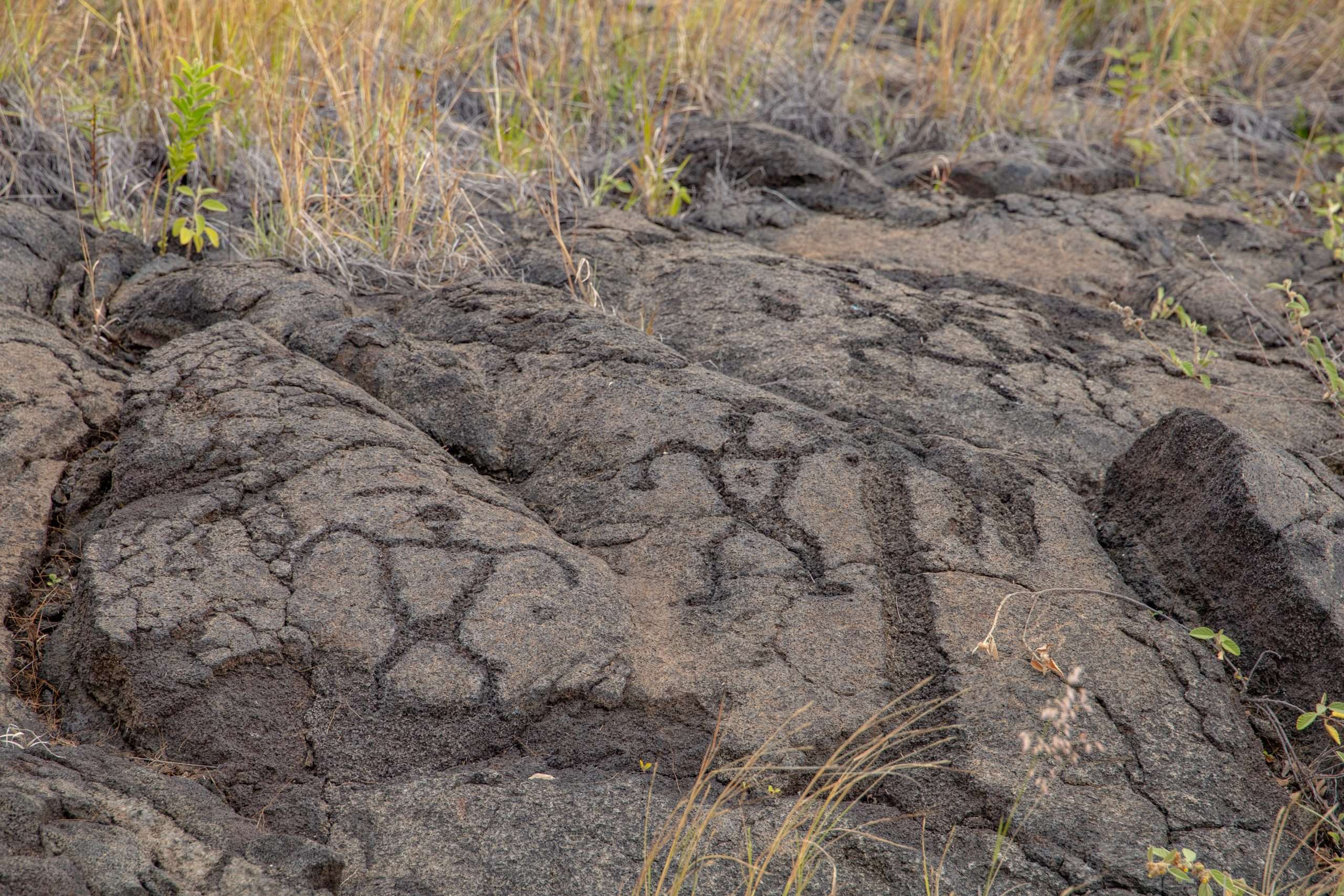 Petroglyphs in Hawaii Volcanoes National Park.