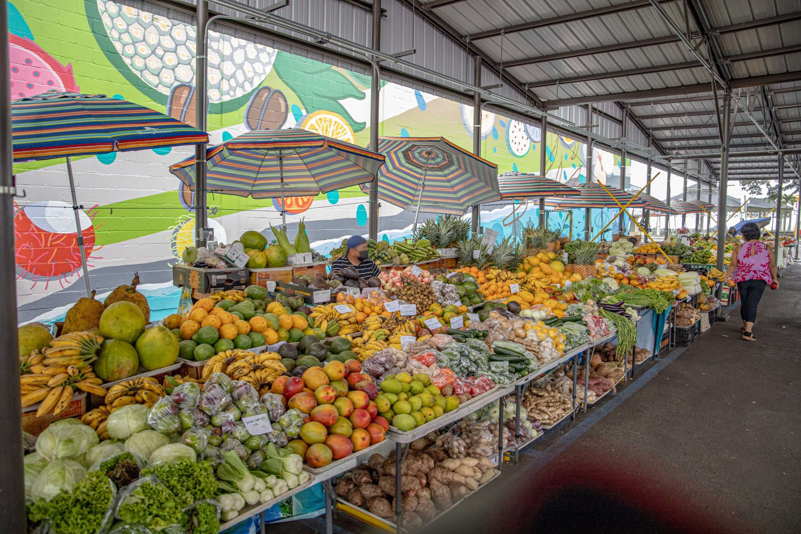 Discover the top attractions near Port of Hilo, a vibrant gateway to Hawaii's Big Island. Explore waterfalls, volcanic landscapes, and rich culture.
