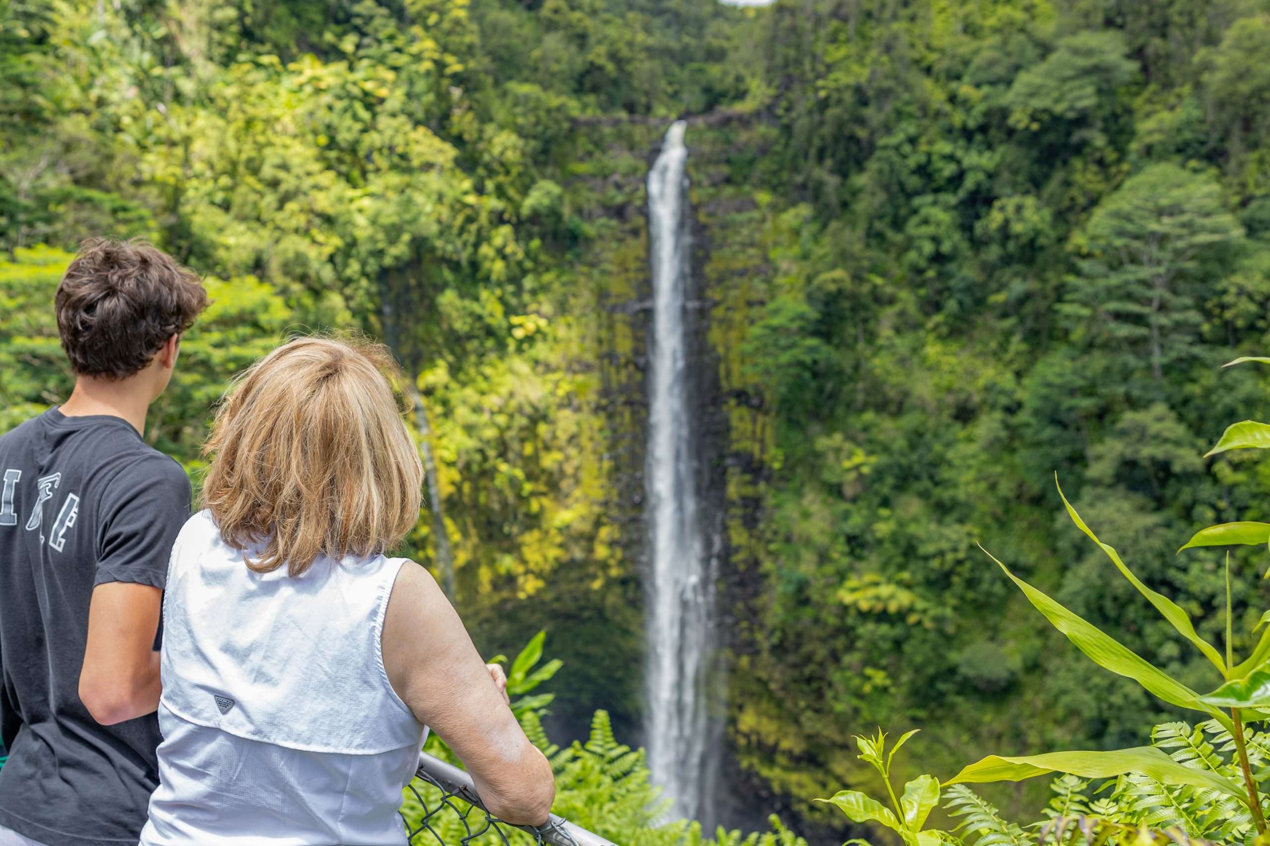 Hilo shore excursion guests looking at Akaka Falls inside Akaka Falls State Park.