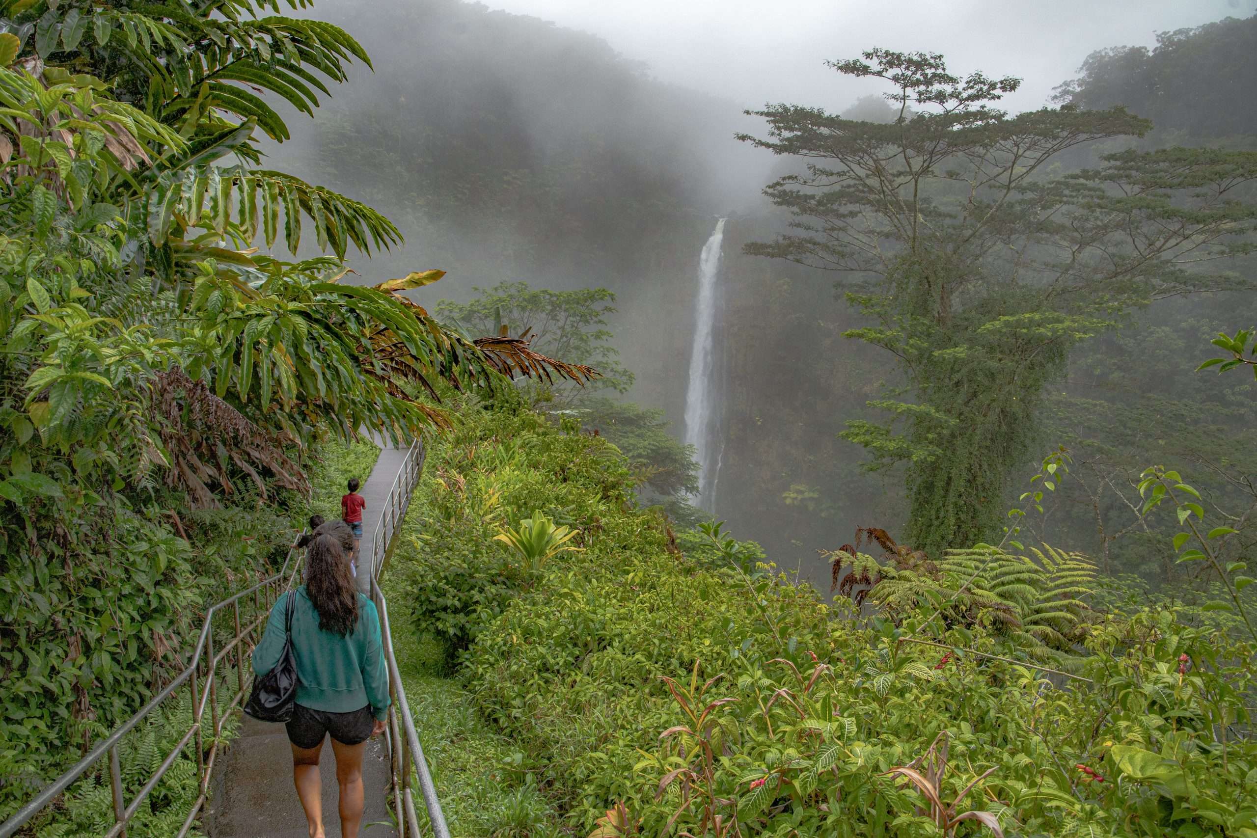 Hilo waterfall tour guest walking through Akaka Falls State Park.