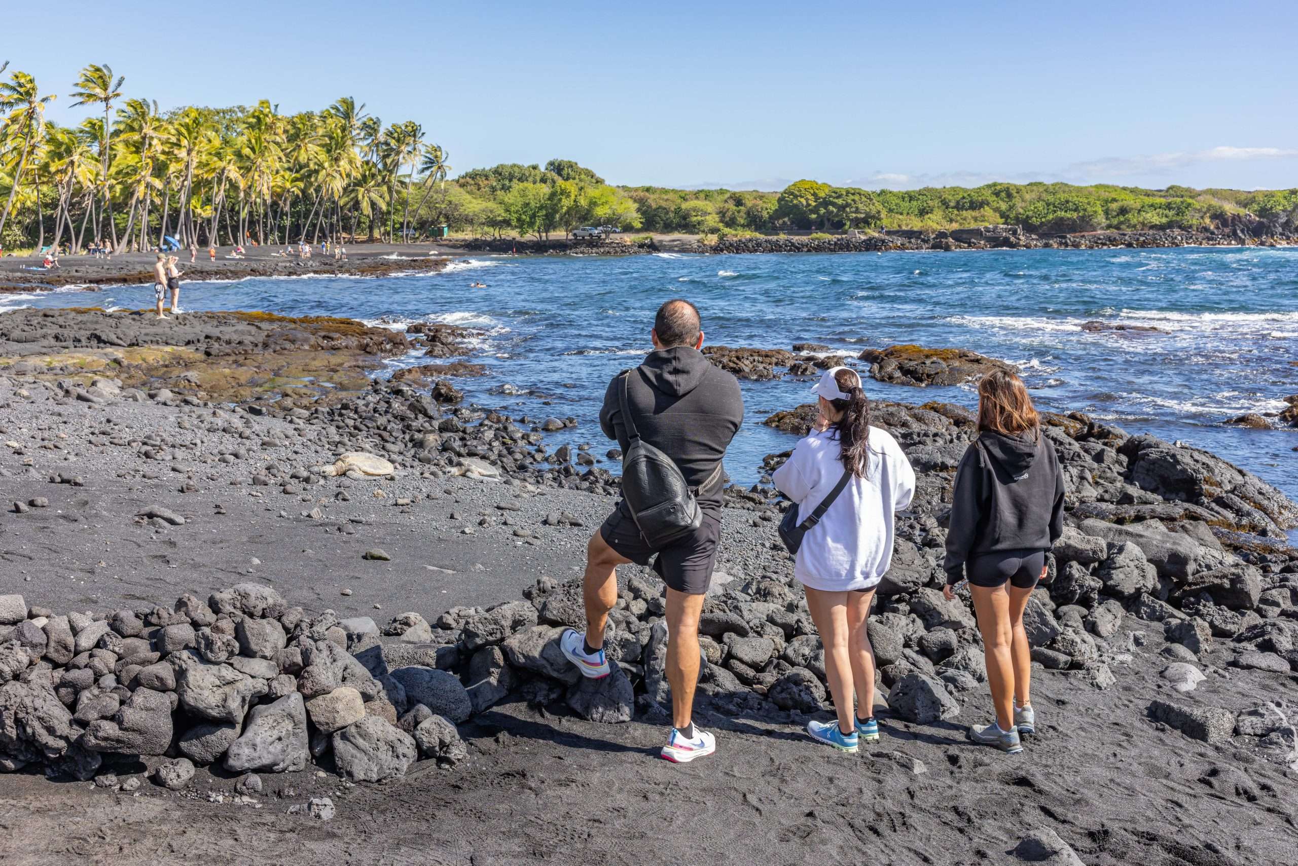 Punalu'u black sand beach on the Big Island of Hawaii.