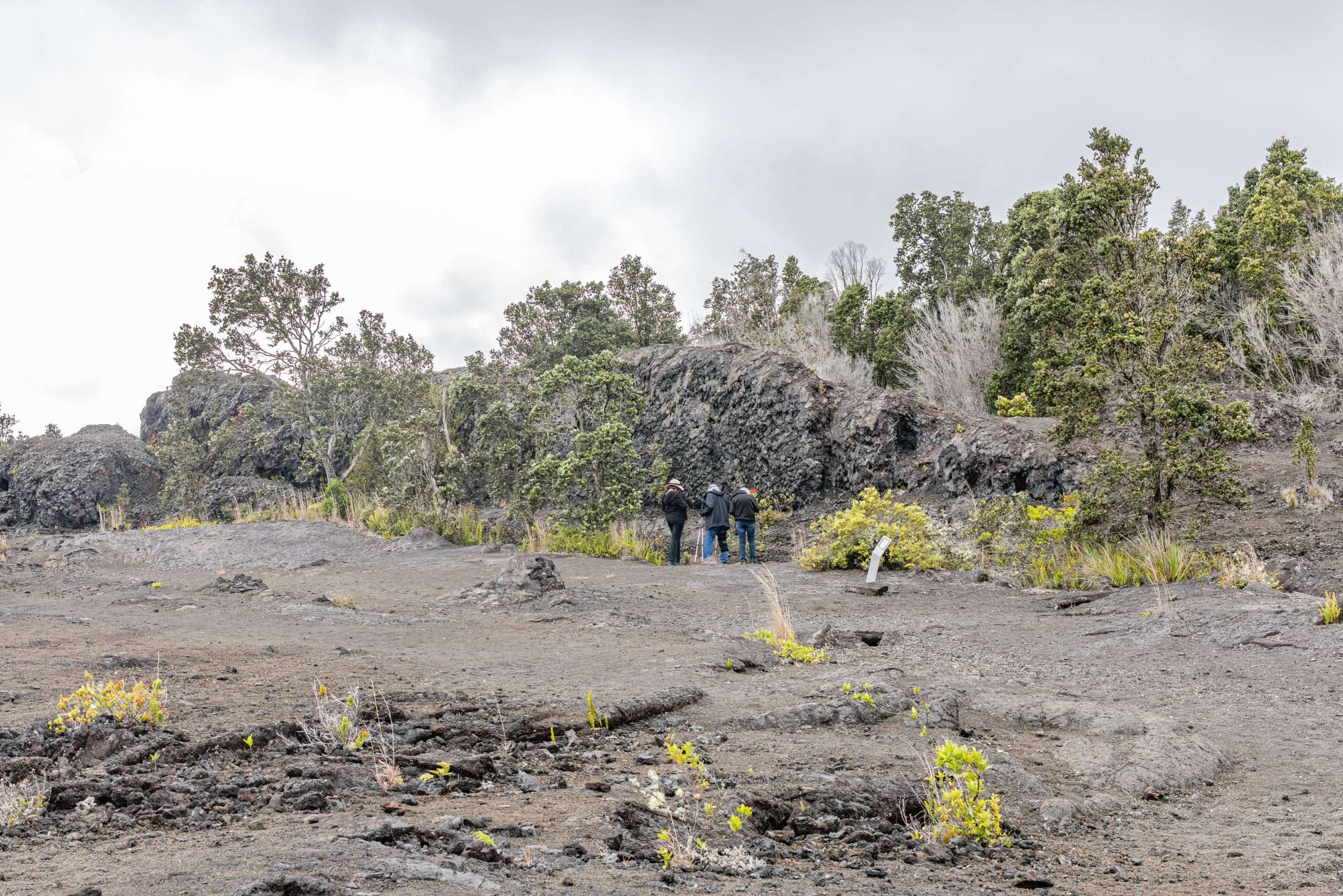Guests on a Kona volcano tour looking a fissure in Volcanoes National Park.
