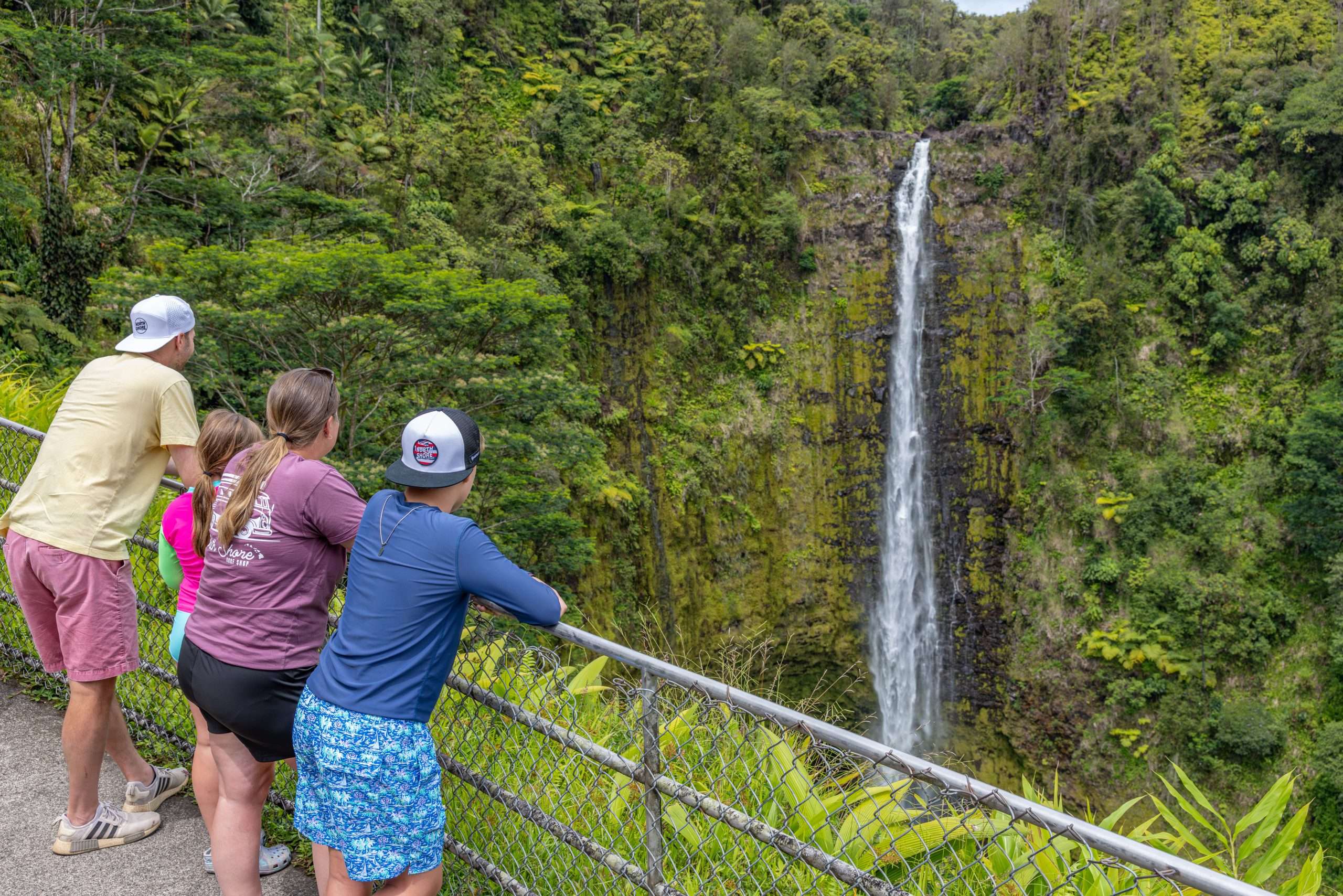 Big Island waterfall tour guests looking at Akaka Falls in Akaka Falls State Park.