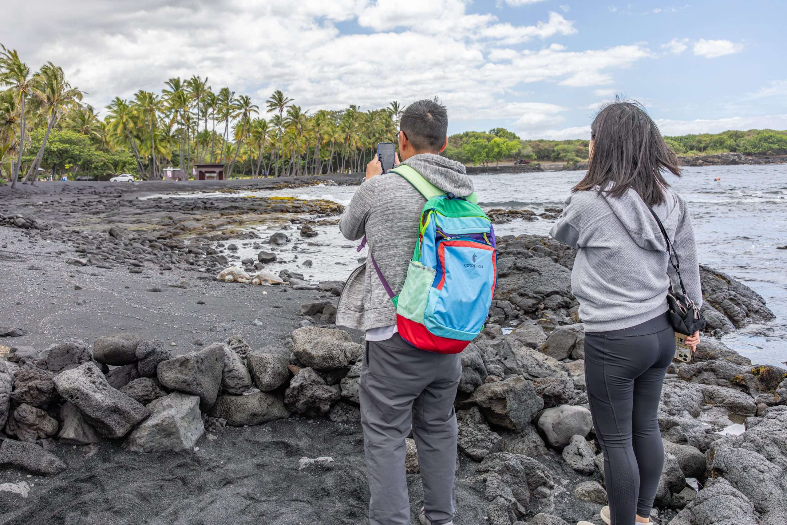 Big Island grand circle tour guests taking photos of the green sea turtles at Punalu'u black sand beach.