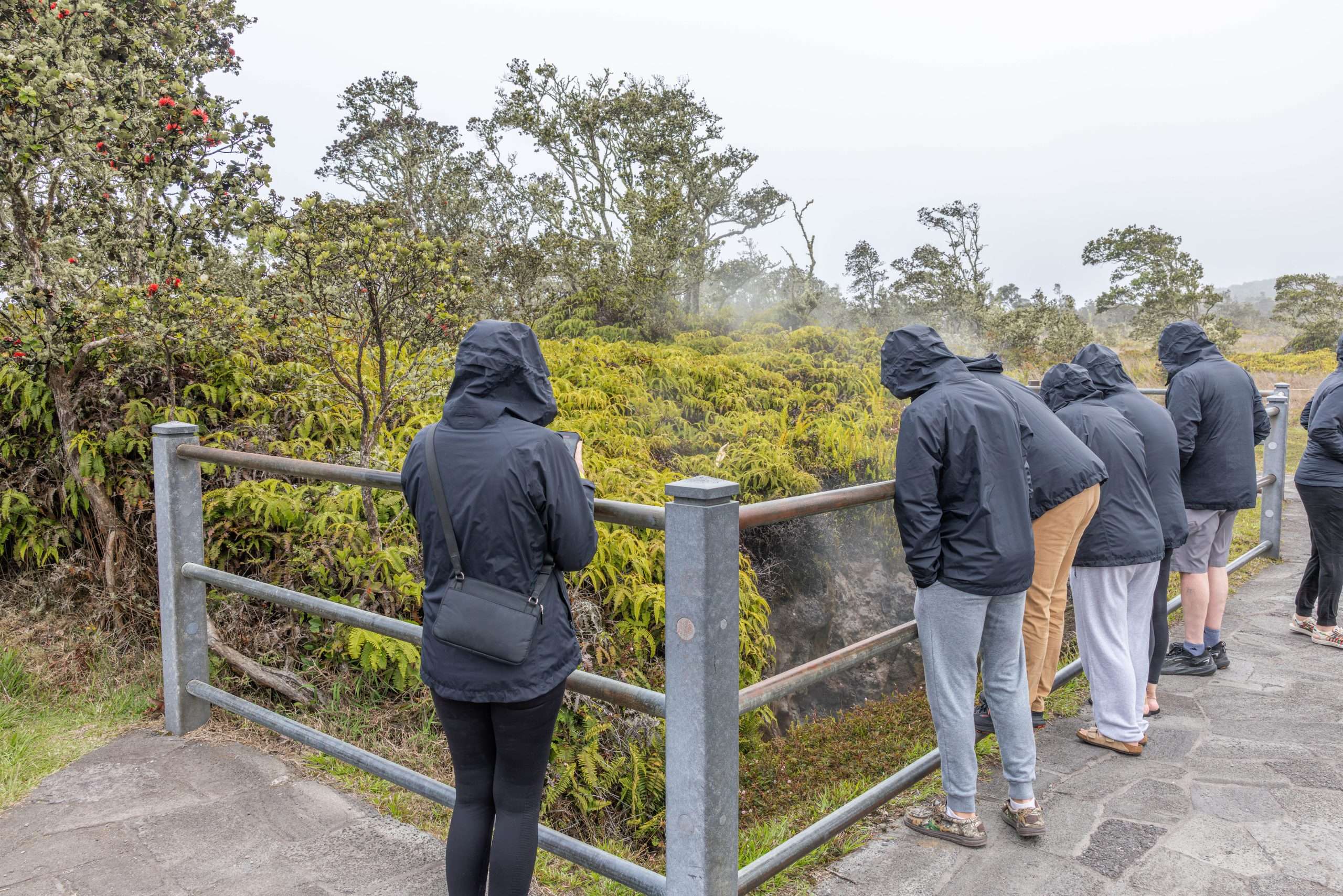 Kilauea volcano tour guests standing in front of the hot steam in Hawaii Volcanoes National Park.