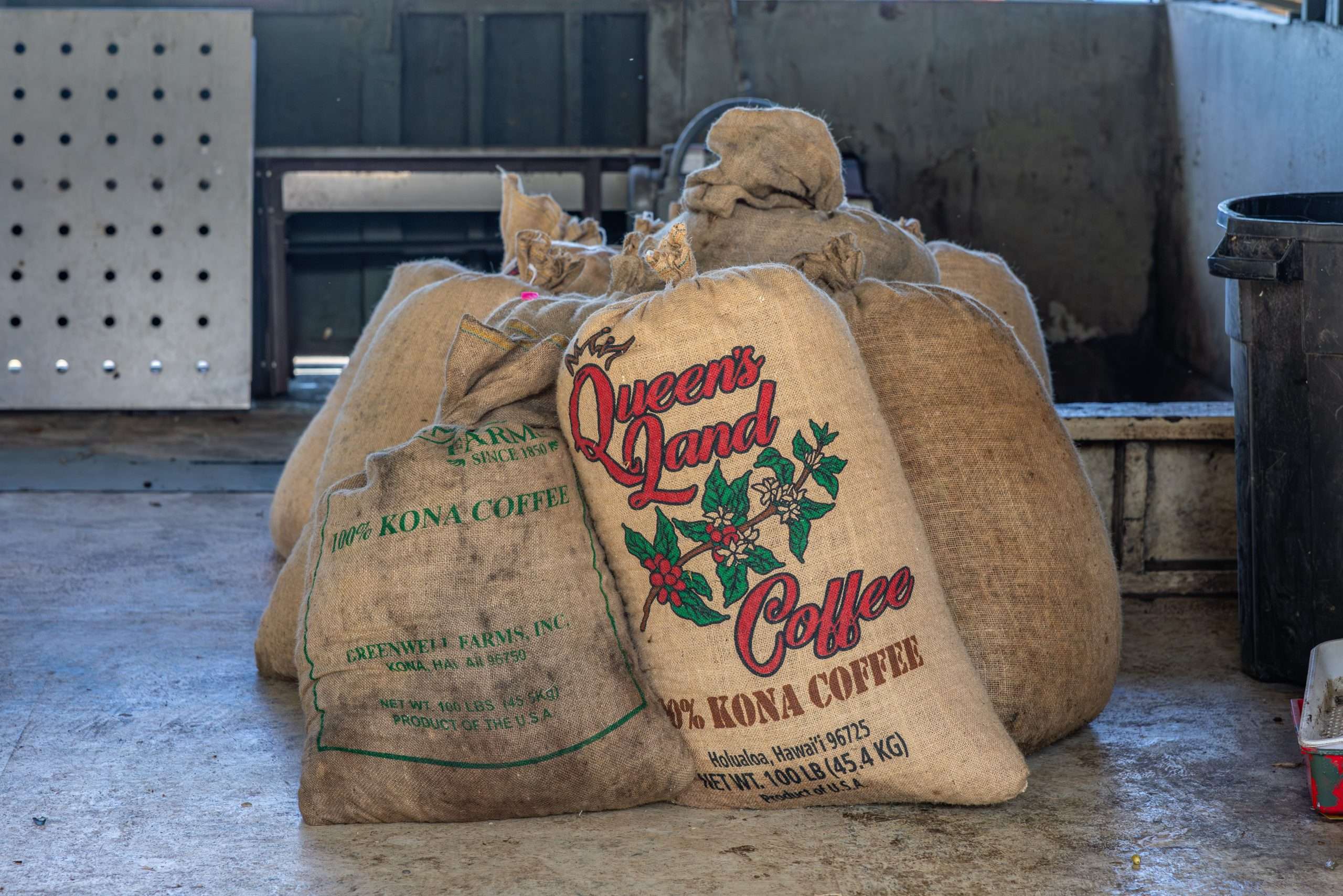 Burlap bags full of fresh Kona coffee beans ready for processing on a Big Island tour.