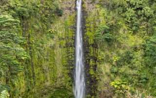 Explore Akaka Falls on the Big Island, a must-see among Hawaii's waterfalls. Experience its lush rainforest, easy loop trail, and stunning 442-foot cascade.
