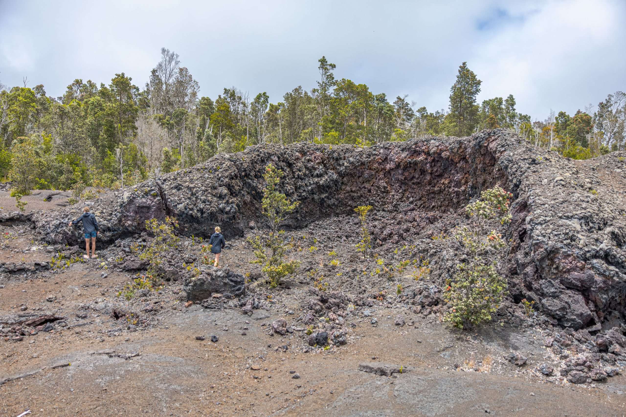 Guests on a Kona volcano tour walking through some of the unique landscapes of Hawaii Volcanoes National Park.