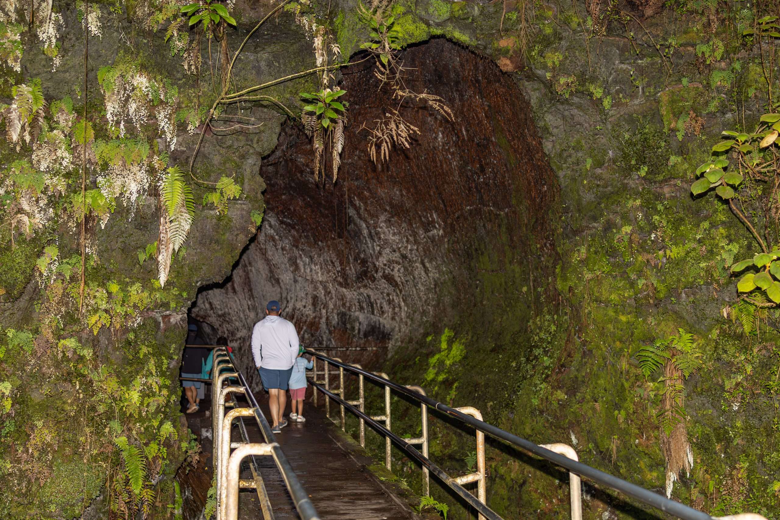 Big Island Lava Tube Tours The Thurston lava tube at Volcanoes National Park on a lava tube tour