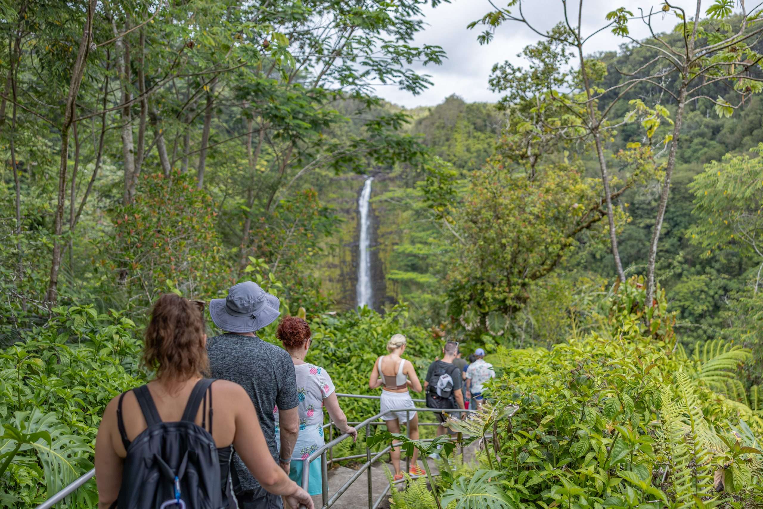 Kona Waterfall Tours Kona waterfall tour guests walking along the trail at Akaka Falls State Park.