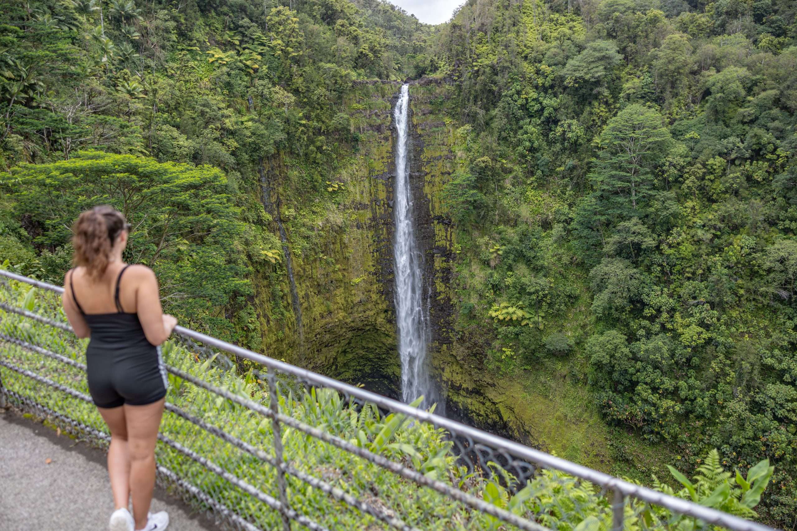 Big Island waterfall tour guest looking at Akaka Falls.