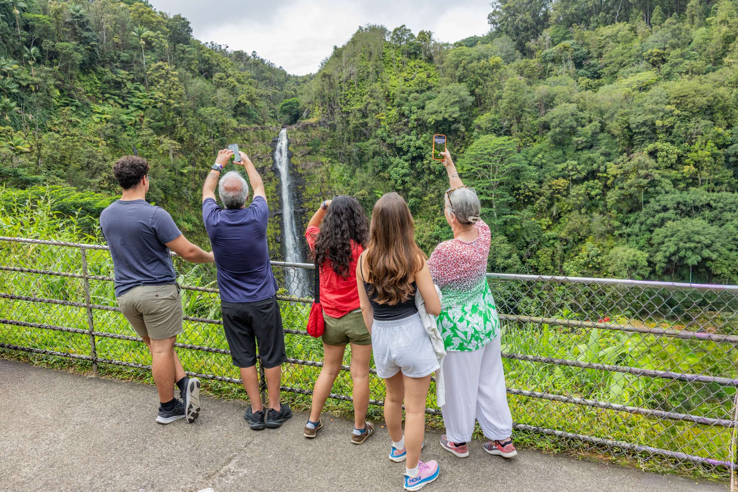 Hilo tours for cruise ship passengers visiting Akaka Falls State Park.