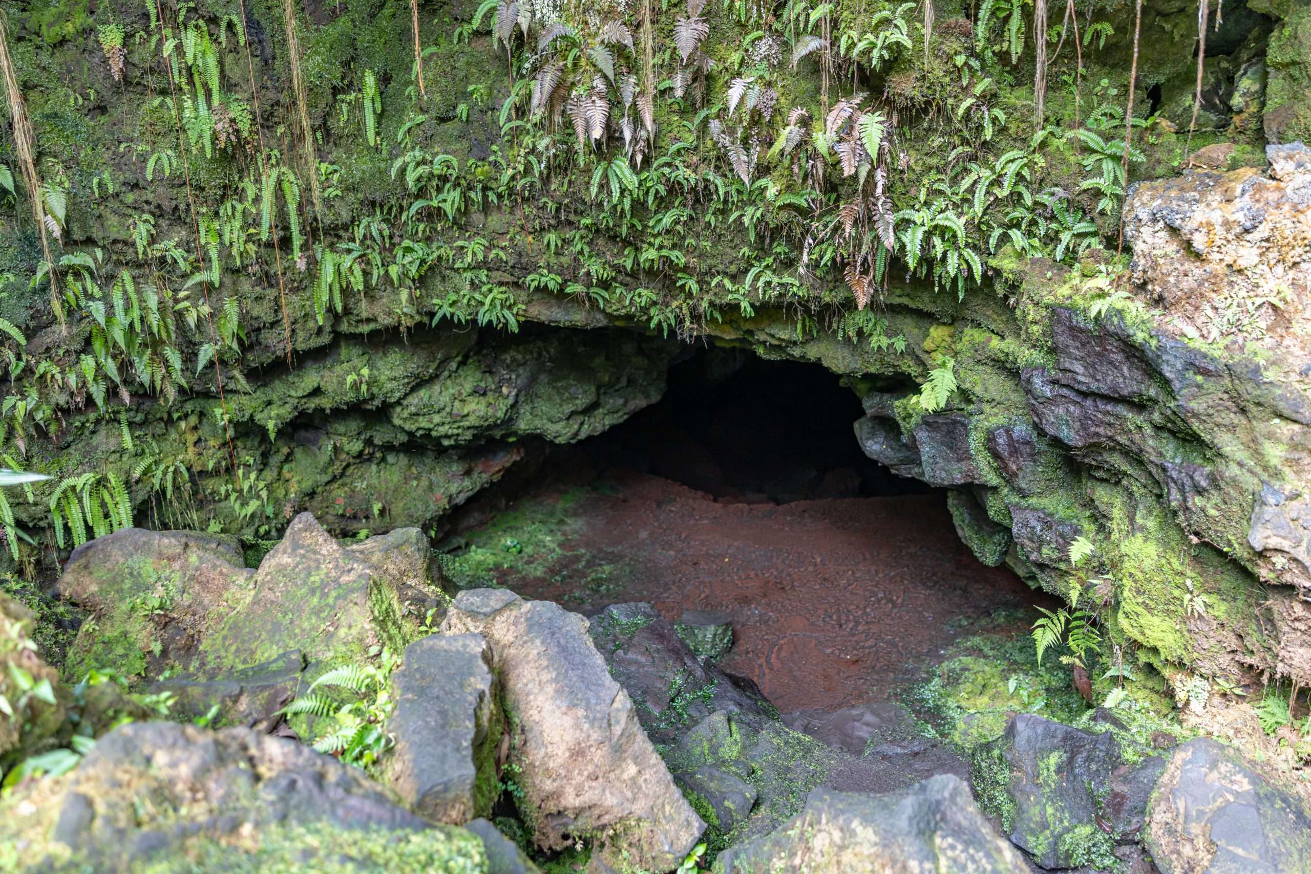 Kaumana Caves are located just outside Downtown Hilo.