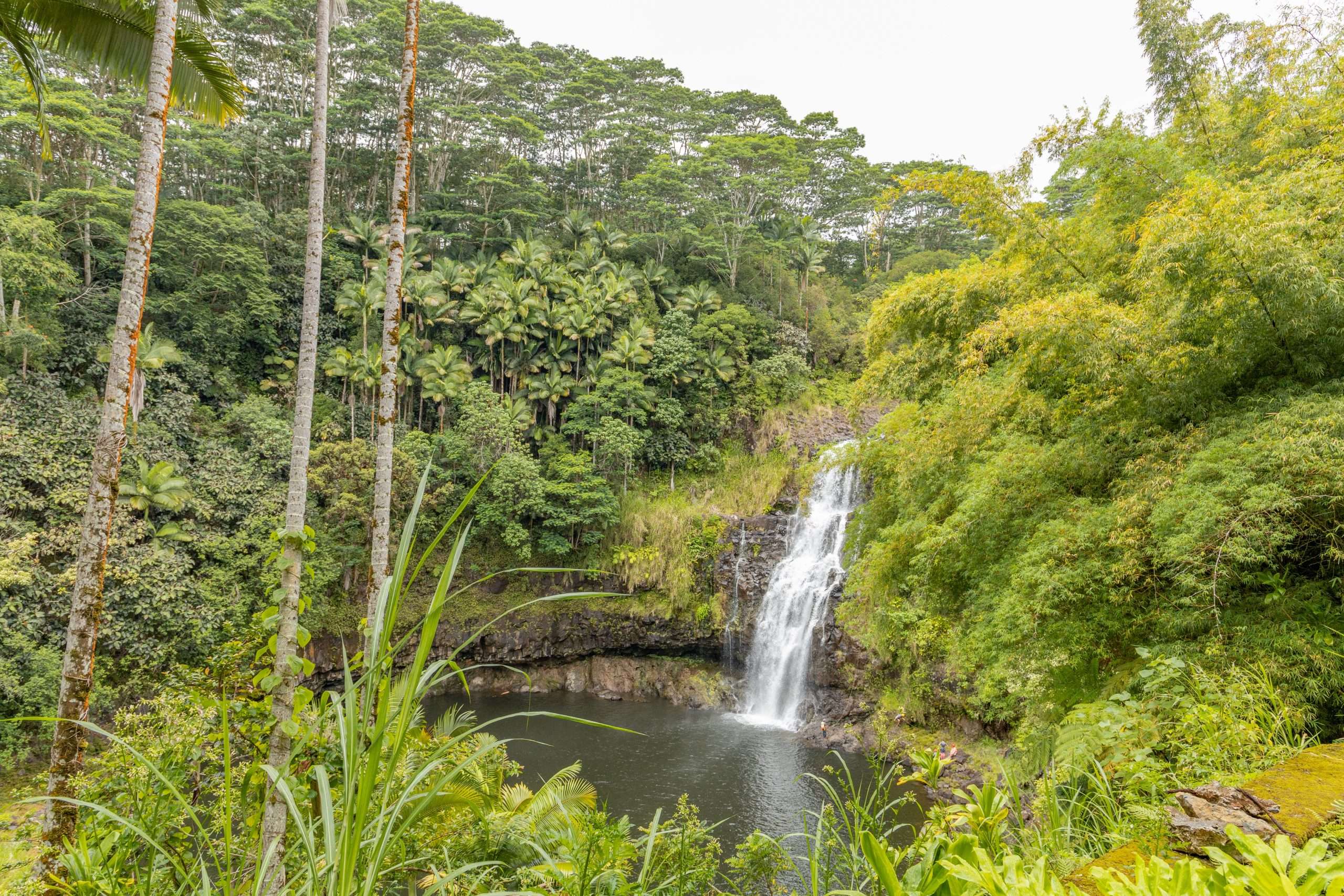 Private waterfall location on a waterfall tour of Hawaii.