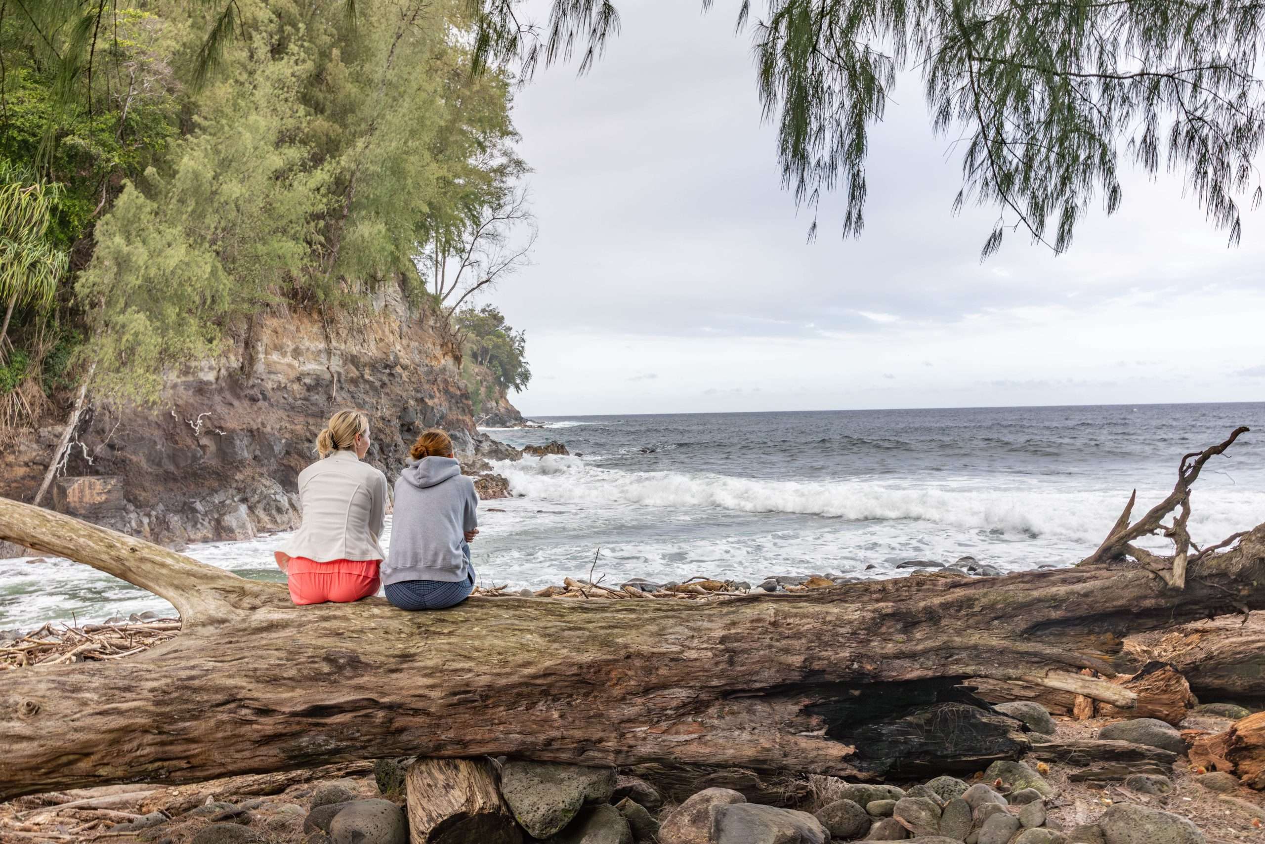 Big Island tour guests sitting on driftwood log in front of the ocean.