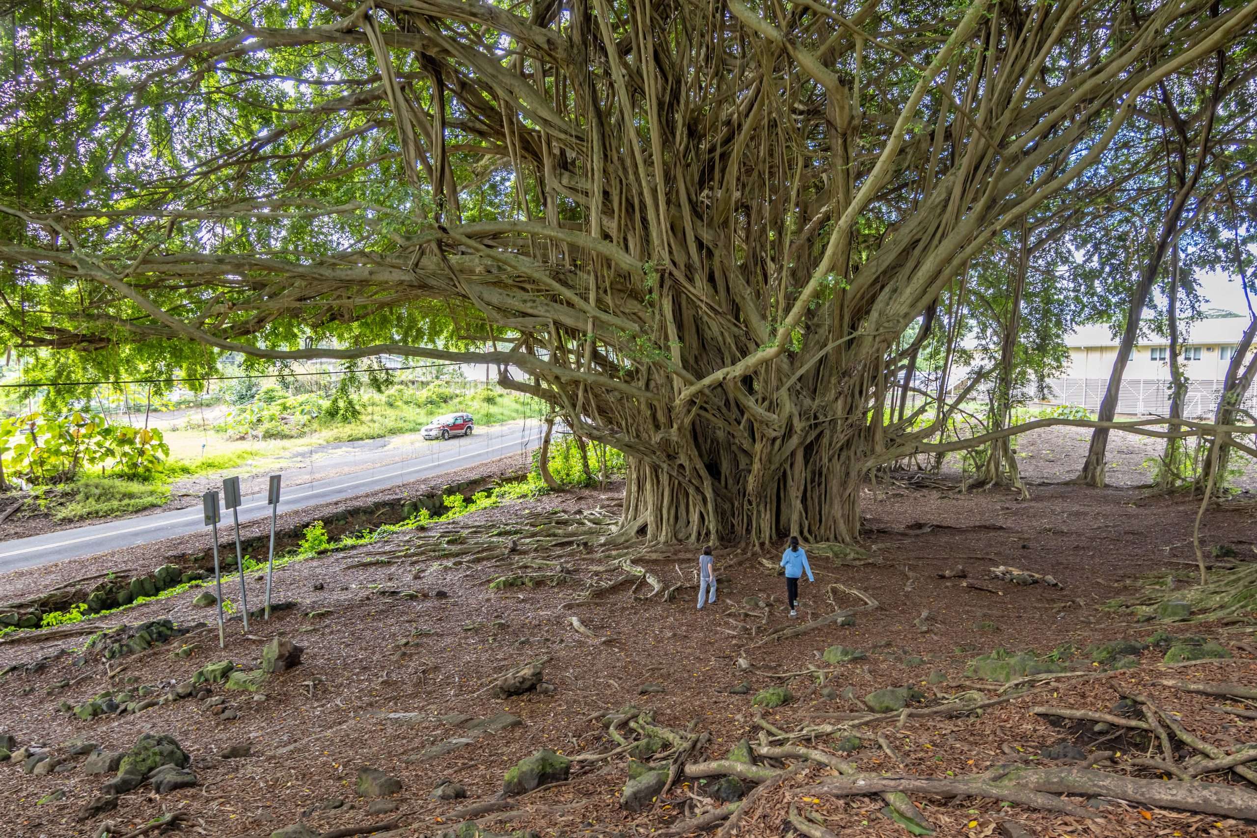 Big Island private tours visiting Rainbow Falls.