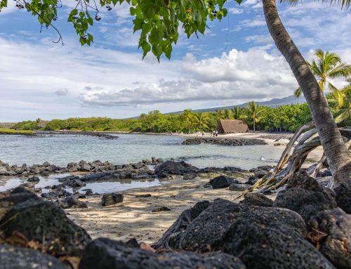 Top 12 Snorkeling Spots on the Big Island of Hawaii