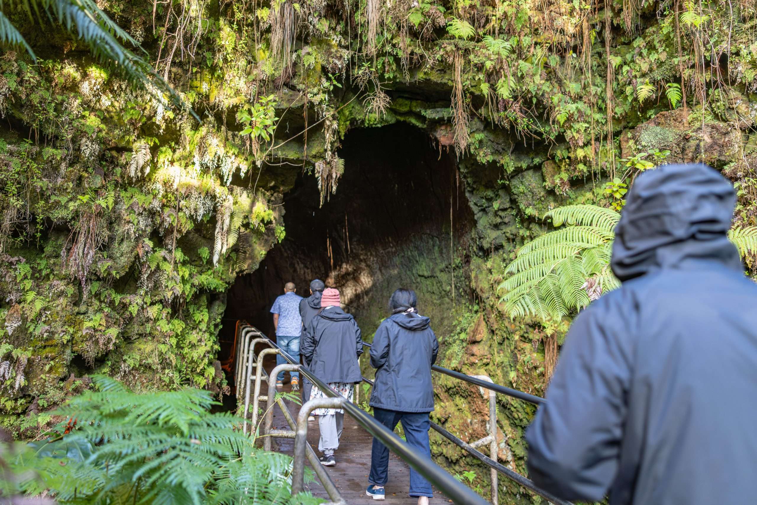 Big Island volcano tour guests walking in Thurston lava tube in Volcanoes National Park.