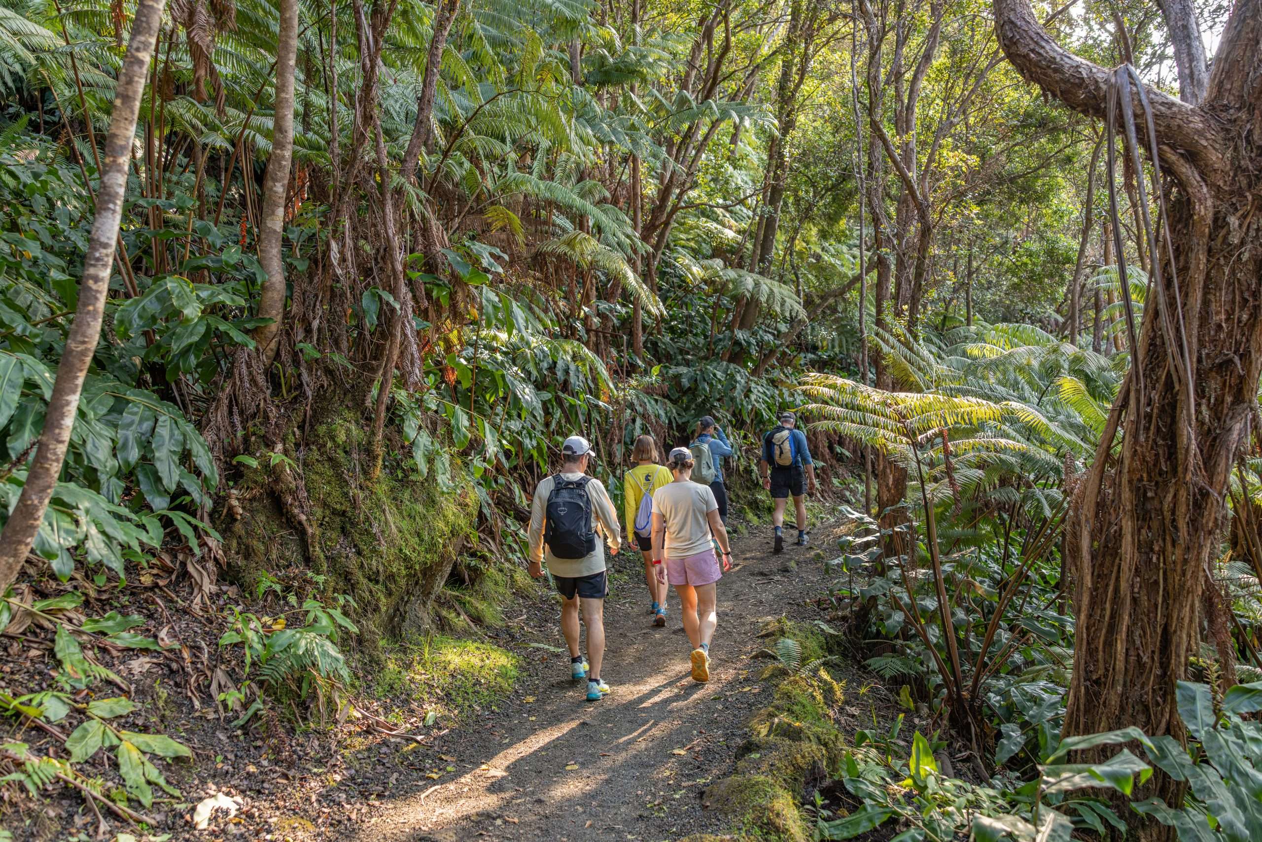 Big Island volcano tours takes you deep into the heart of Hawaii Volcanoes National Park.