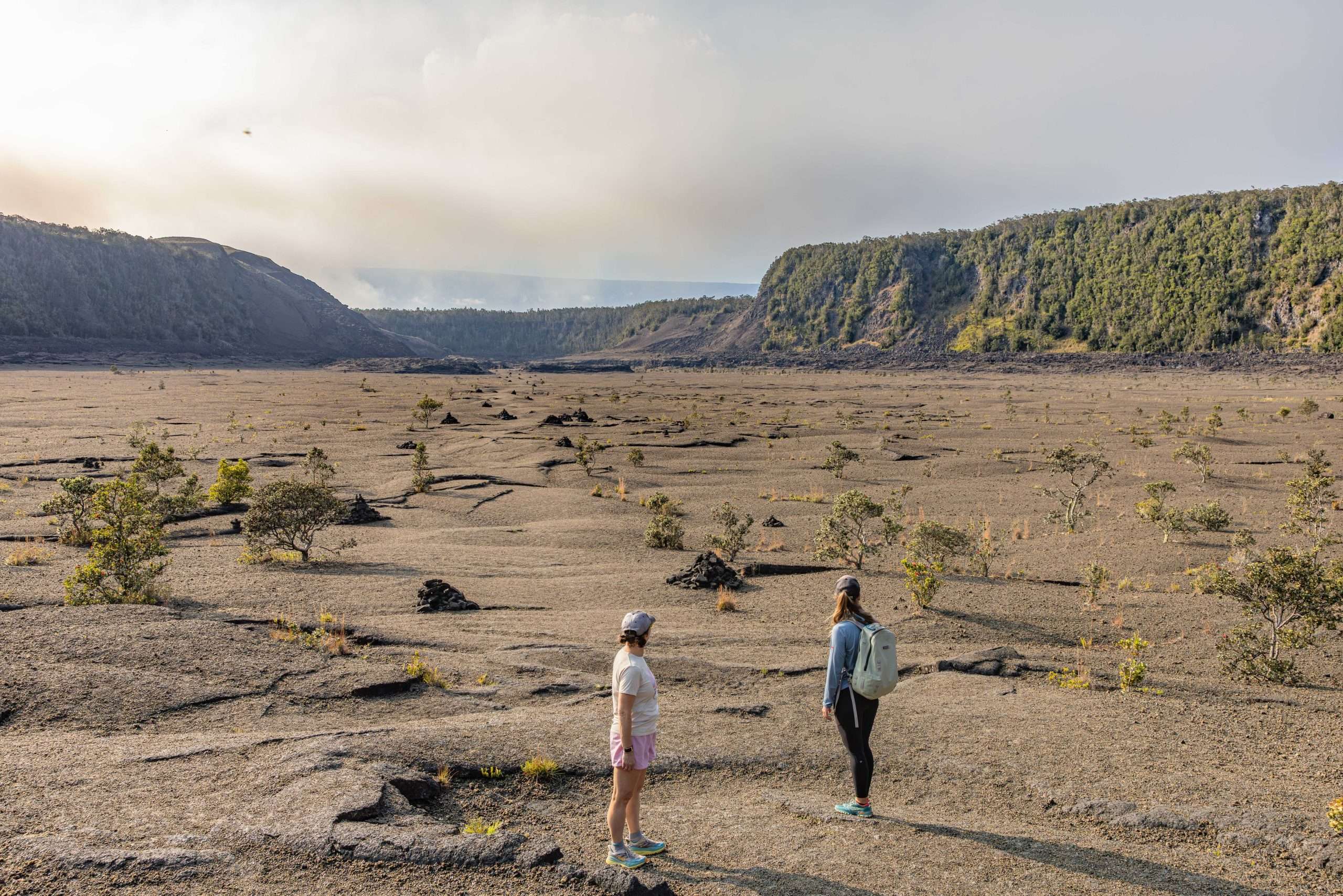 Hawaii Volcanoes National Park tours visiting Kilauea Iki trail.