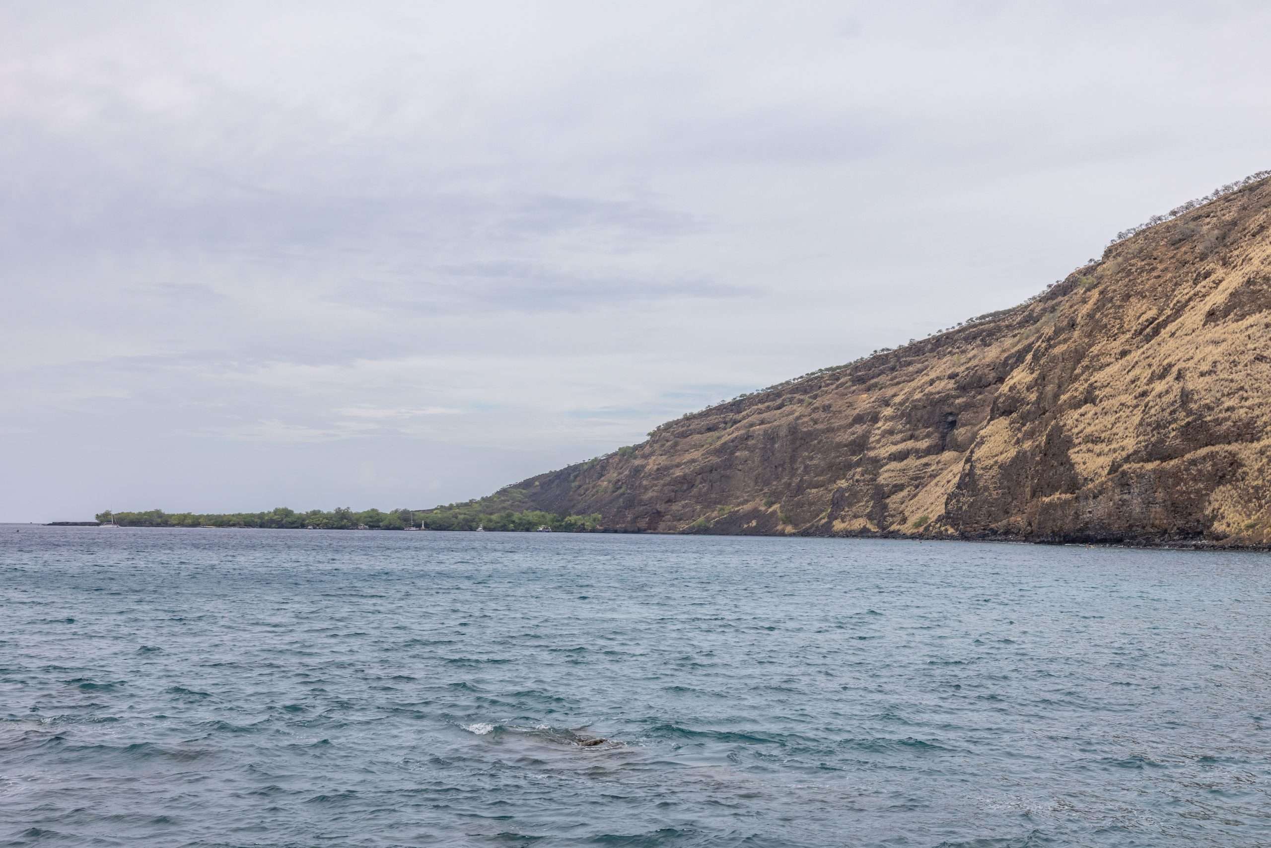 Kona historical tour visiting Kealakekua Bay.