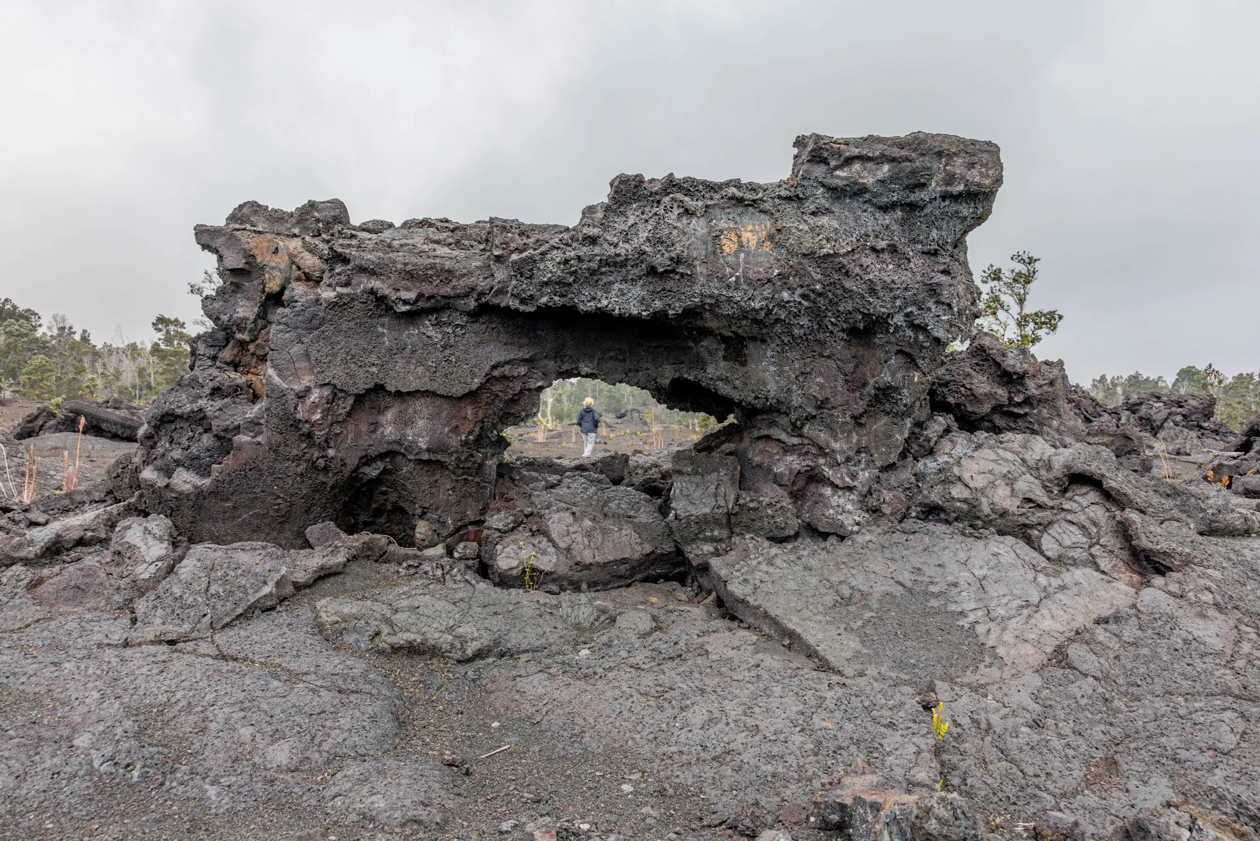 Kilauea Adventures