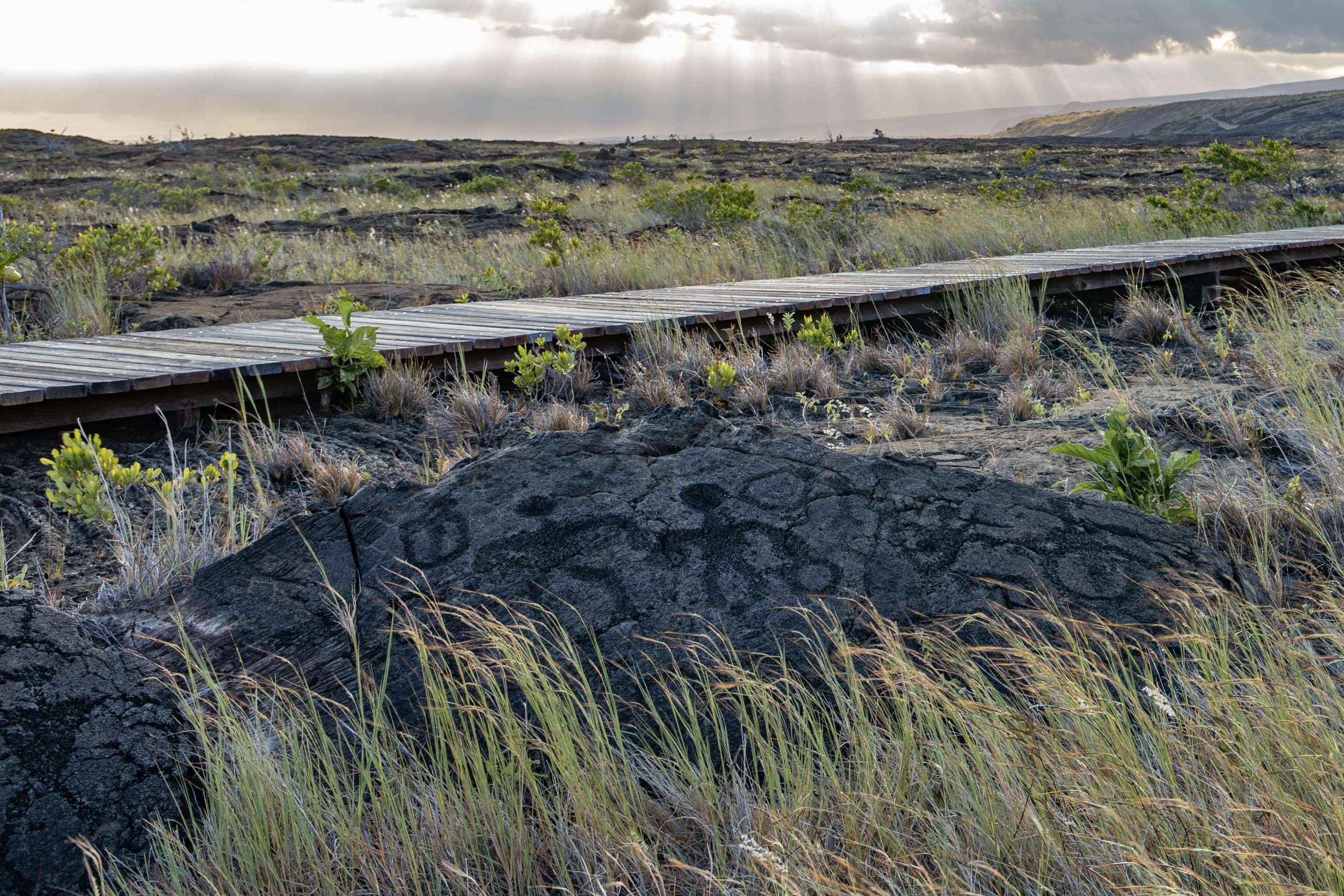 Big Island Family Activities: Top 3 Experiences