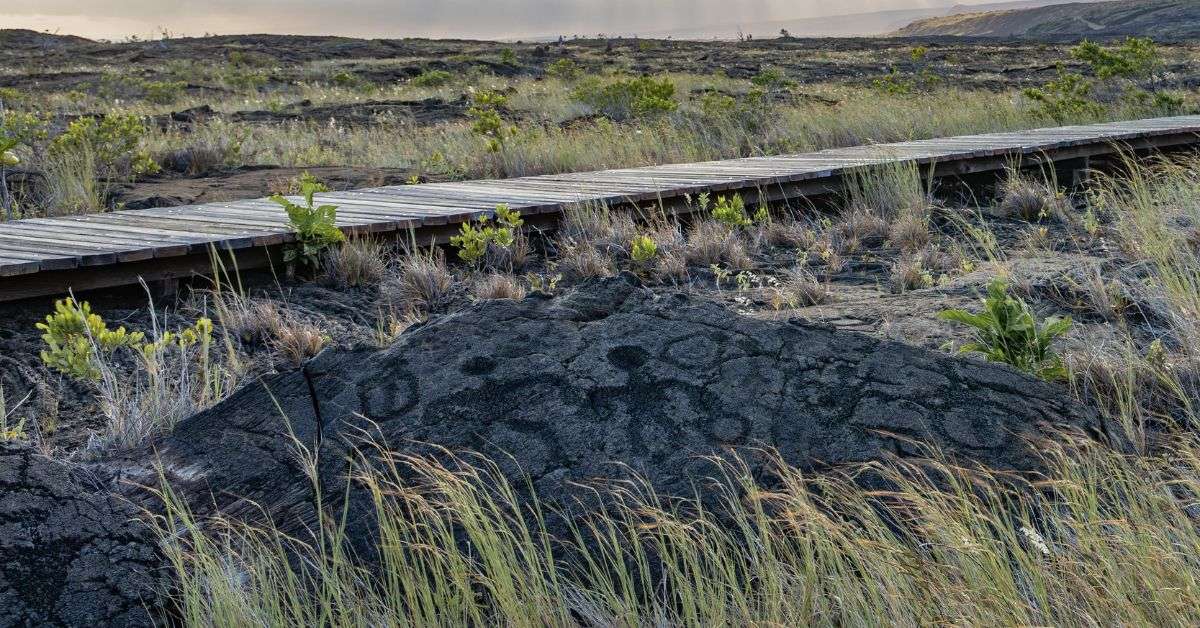 Best Places To See Petroglyphs on the Big Island of Hawai’i